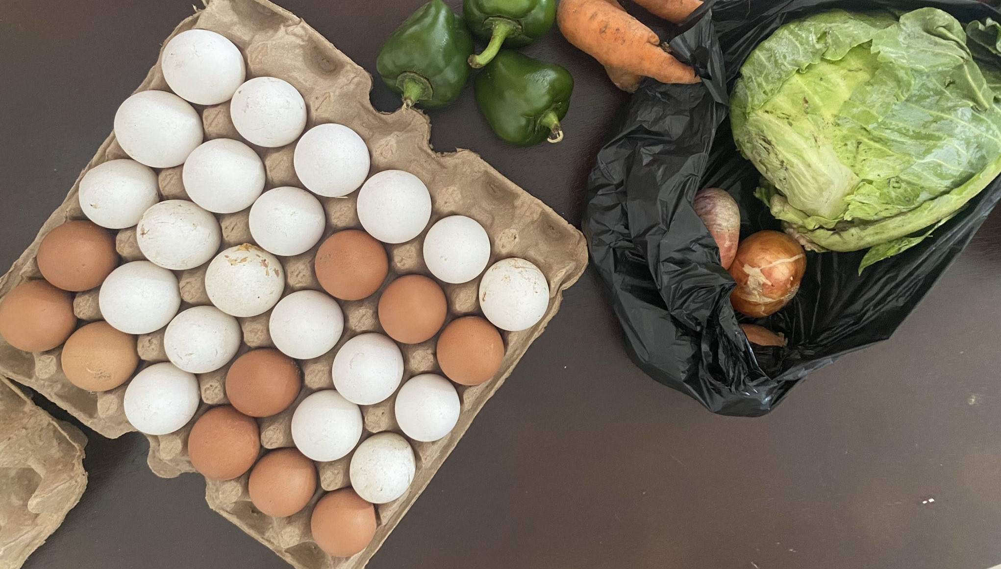 Das ist ein Bild von unserem Einkauf mit vielen Eiern Ein Einkauf