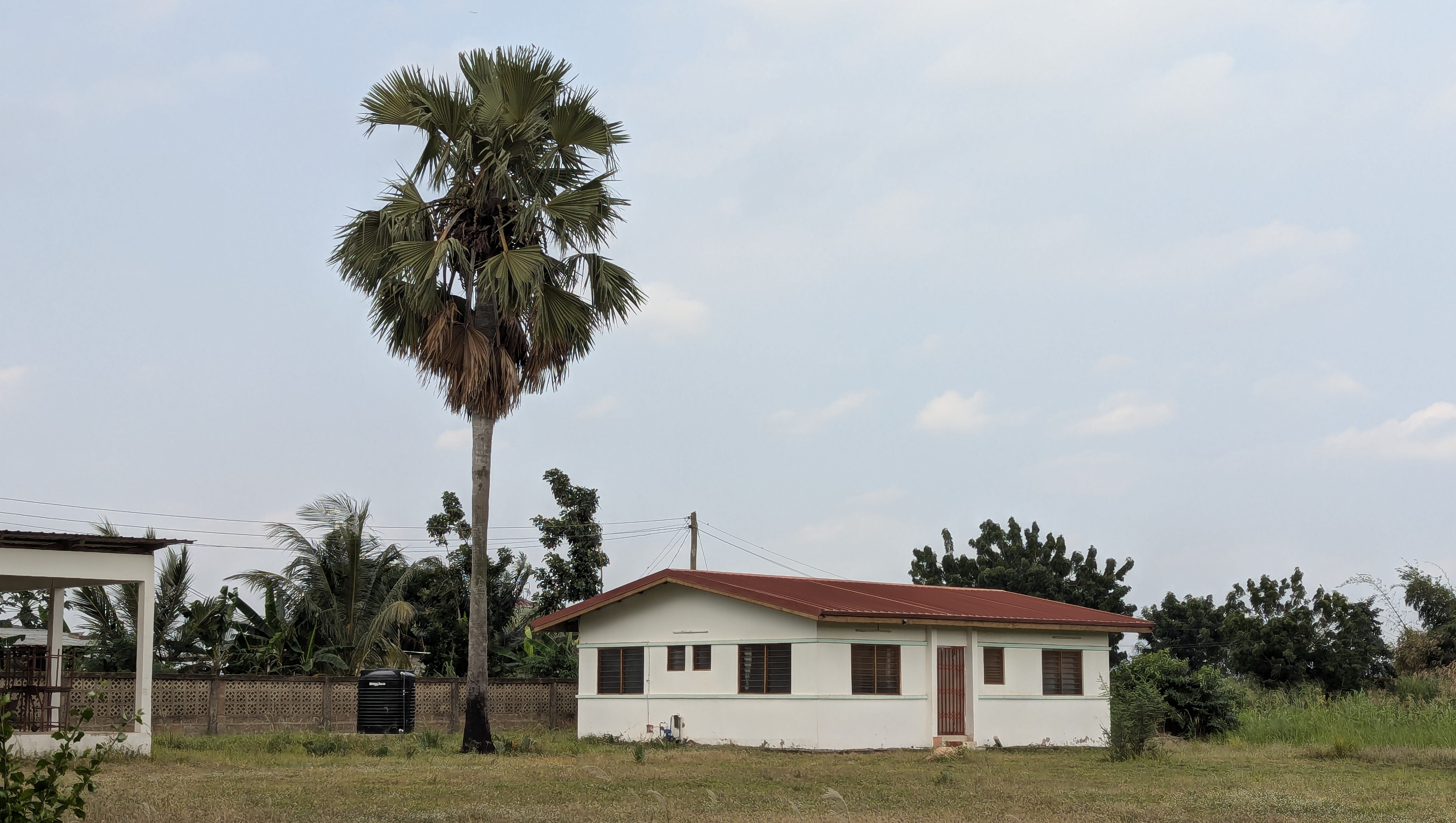Das ist unser Haus Ein Haus, neben dem eine Palme steht
