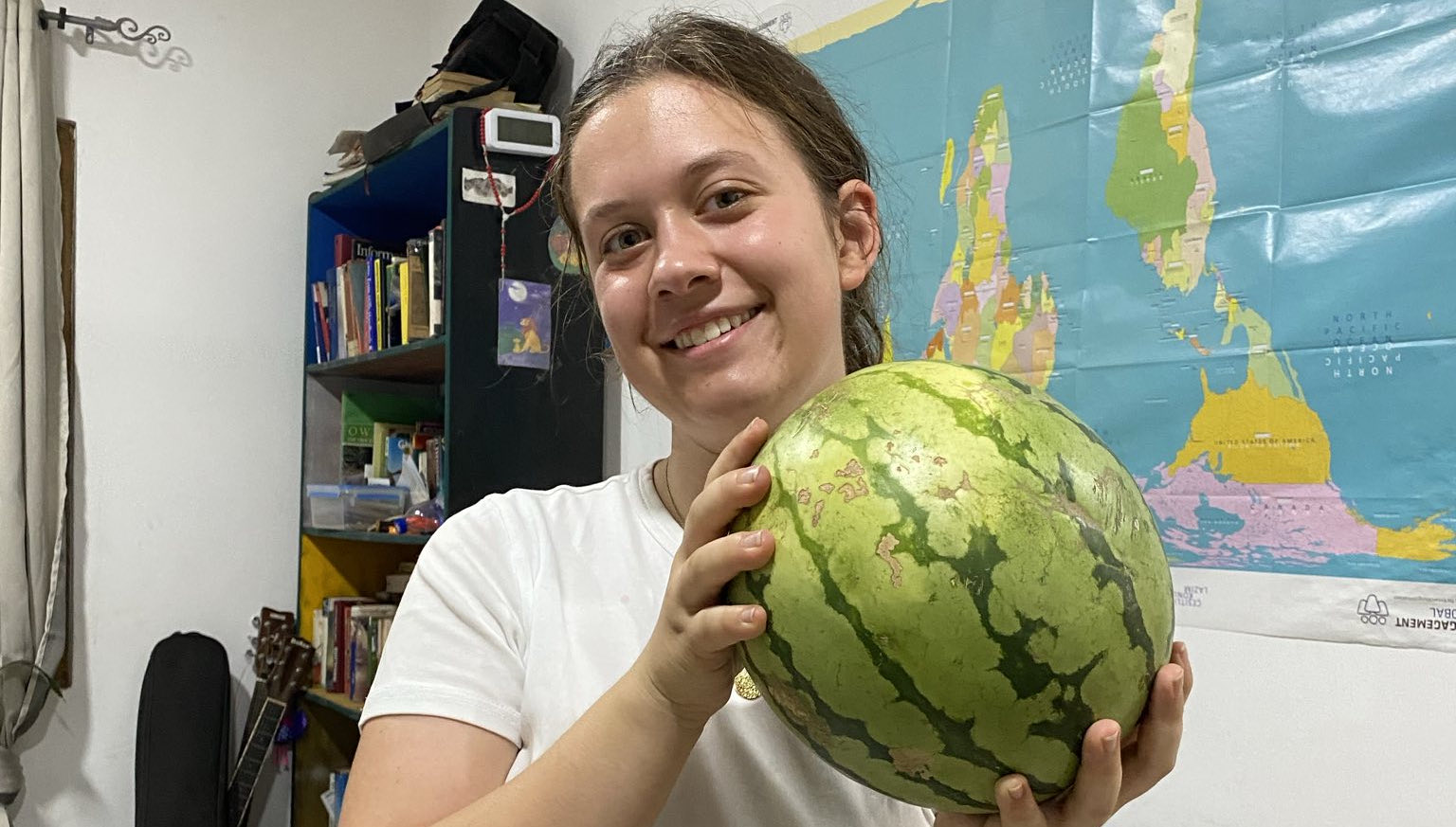 Eine leckere Wassermelone Eine Wassermelone